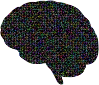 Prismatic Polygonal Wireframe Brain