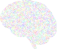 Prismatic Polygonal Wireframe Brain No Background