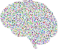 Prismatic Neural Network 2