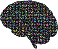Prismatic Neural Network 2 Variation 2