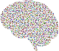 Prismatic Neural Network 2 3