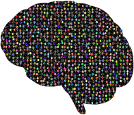 Prismatic Neural Network 2 3 Variation 2