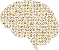 Prismatic Neural Network 2 4