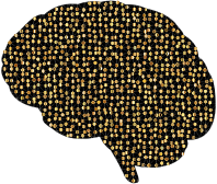Prismatic Neural Network 2 4 Variation 2