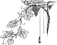 Grapevine 2