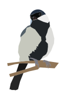 Japanese Tit on a twig