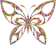 Vibrant Chromatic Hexagonal Tribal Butterfly Silhouette