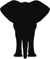 Floral Pattern Elephant Silhouette