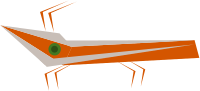 crambus moth