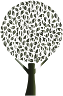 Polished Obsidian Abstract Tree No Background