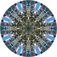 Abstract Mandala