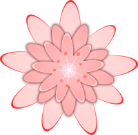 Pink Flower