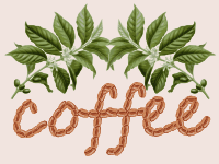 coffee design