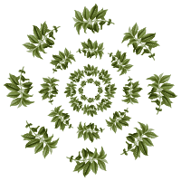 coffee leaves-pattern