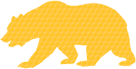 Honeycomb Bear