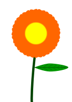 Orange flower