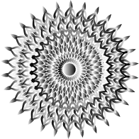 You Can Stare At This One Its OK No Background