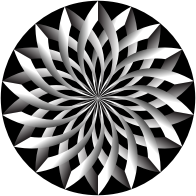 Light And Shadow Lotus