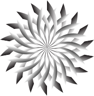 Light And Shadow Lotus No Background