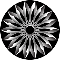 Light And Shadow Lotus 2