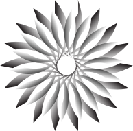 Light And Shadow Lotus 2 No Background