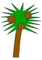 Palm tree