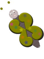 butterfly