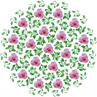 rose design