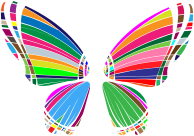 RGB Butterfly Silhouette 10
