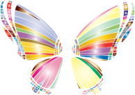 RGB Butterfly Silhouette 10 2
