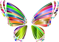 RGB Butterfly Silhouette 10 3