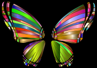 RGB Butterfly Silhouette 10 4