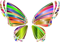 RGB Butterfly Silhouette 10 4 No Background