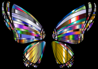 RGB Butterfly Silhouette 10 6