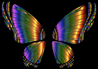 RGB Butterfly Silhouette 10 7
