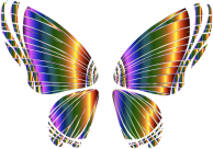RGB Butterfly Silhouette 10 7 No Background