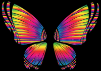 RGB Butterfly Silhouette 10 8