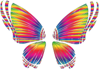 RGB Butterfly Silhouette 10 8 No Background