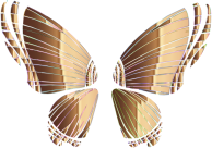 RGB Butterfly Silhouette 10 9 No Background