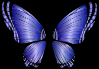 RGB Butterfly Silhouette 10 10