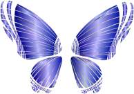 RGB Butterfly Silhouette 10 10 No Background