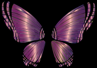 RGB Butterfly Silhouette 10 11