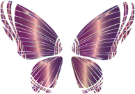 RGB Butterfly Silhouette 10 11 No Background