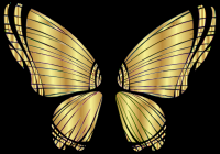 RGB Butterfly Silhouette 10 12