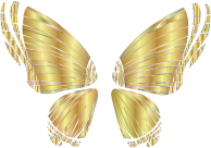 RGB Butterfly Silhouette 10 12 No Background