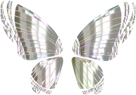 RGB Butterfly Silhouette 10 13 No Background