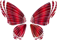 RGB Butterfly Silhouette 10 14 No Background