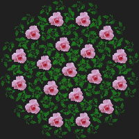 rose design-remix