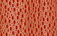 Prismatic Packed Circles 13