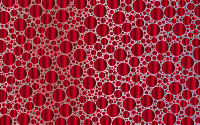 Prismatic Packed Circles 18